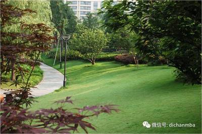 綠城園林景觀營造階段關鍵要點(全套)