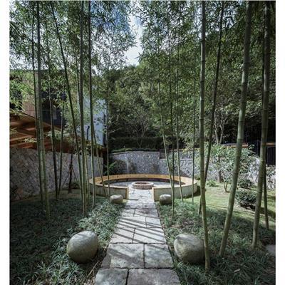 三門峽園林景觀公司相關(guān)產(chǎn)品推薦