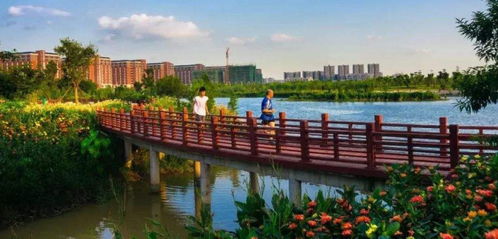 東莞某特色精品村建設(shè)規(guī)劃之swot分析 建科園林景觀設(shè)計(jì)