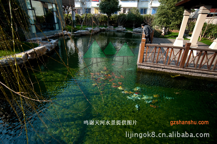 園林景觀綠化花園水池錦鯉魚池景觀水設計 工廠人工湖工程設.