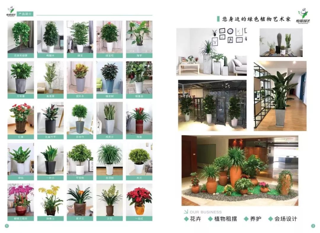 深圳花卉租擺|綠植租擺|花木租擺|綠化養(yǎng)護(hù)|園林景觀工程.